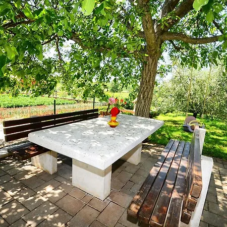Apartment Mira Veleniki