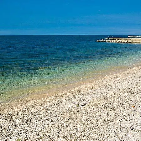 Mira Veleniki